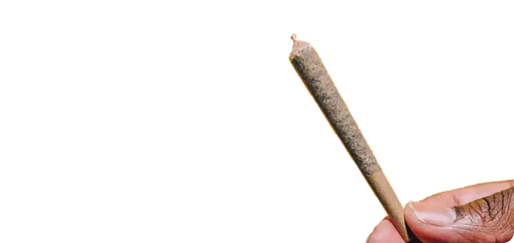 weed dispensary hand rolling cannabis