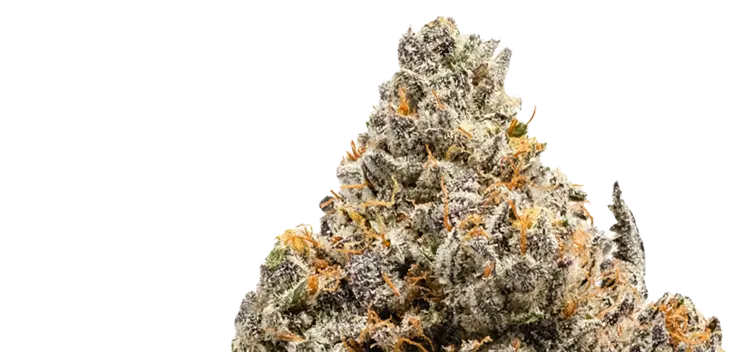 weed dispensary flower