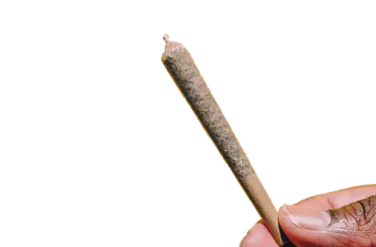 cannabis dispensary hand roll